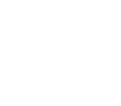 DES logo (1)